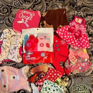 Extra Small Dog Clothes and accessories
